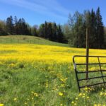 Land Easements/Land Trust