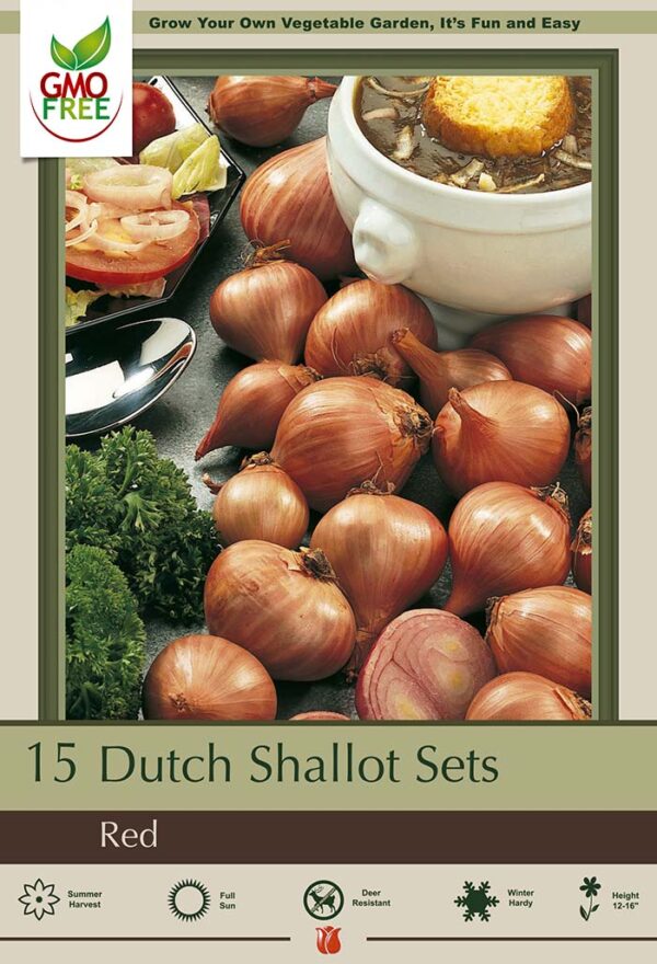 Red Shallots