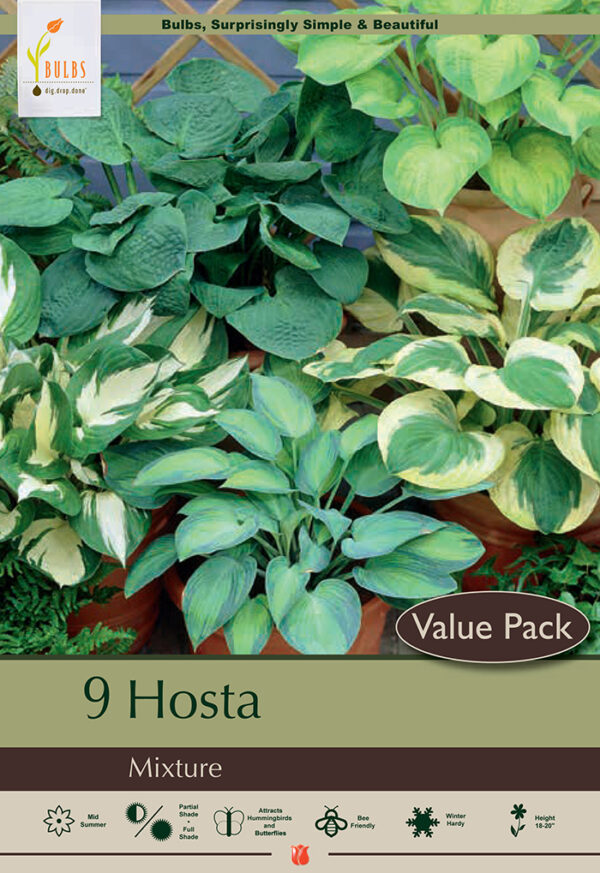 Hosta Mixture