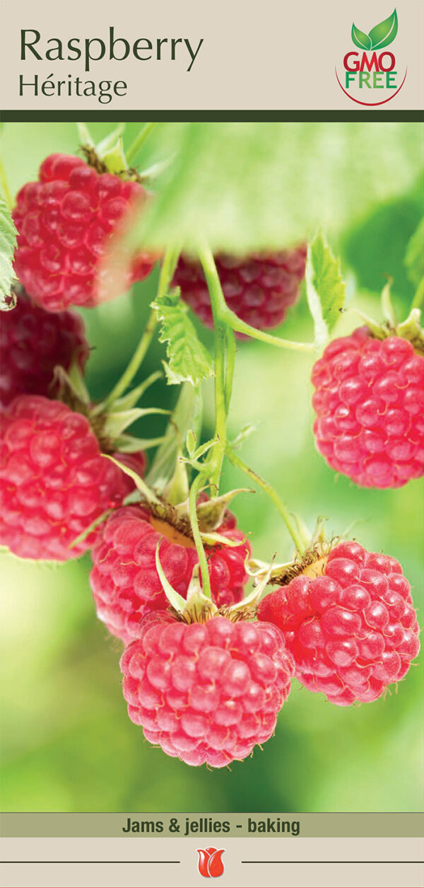 Heritage Raspberry