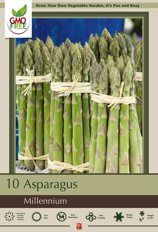 Millennium Asparagus