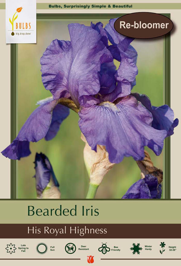 His Royale Highness Iris