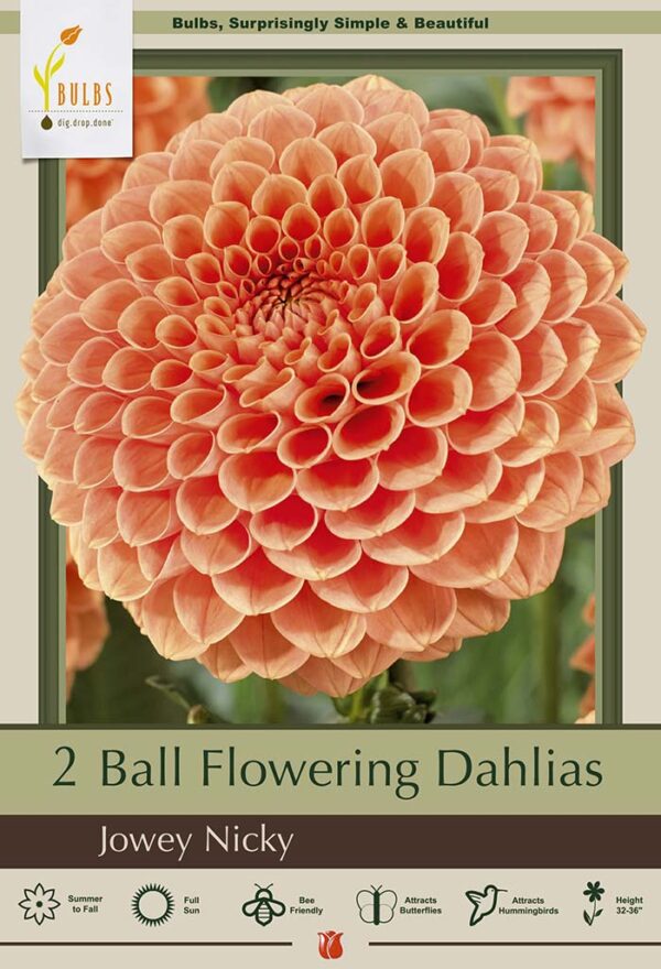 Joey Dahlia