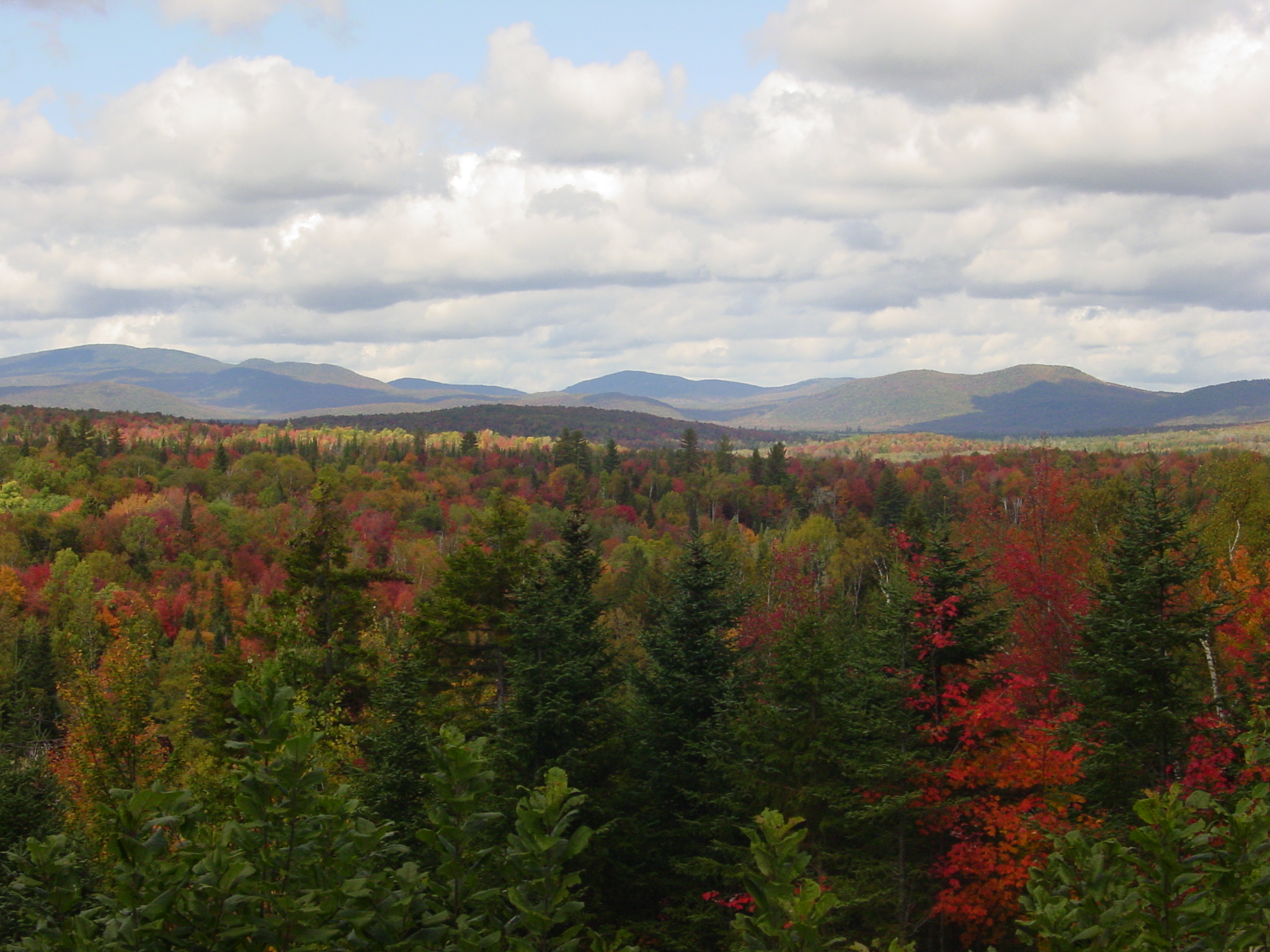 Silvio O. Conte National Fish & Wildlife Refuge,