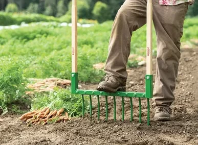 Harvesting Broadfork 9 tine