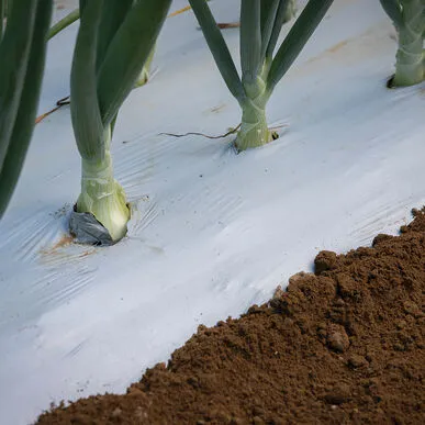 White on Blk mulch 4×4000′